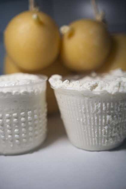 ricotta e scamorza.jpeg