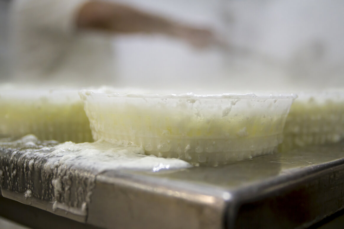 ricotta_lavorazione-modifica-modifica.jpeg
