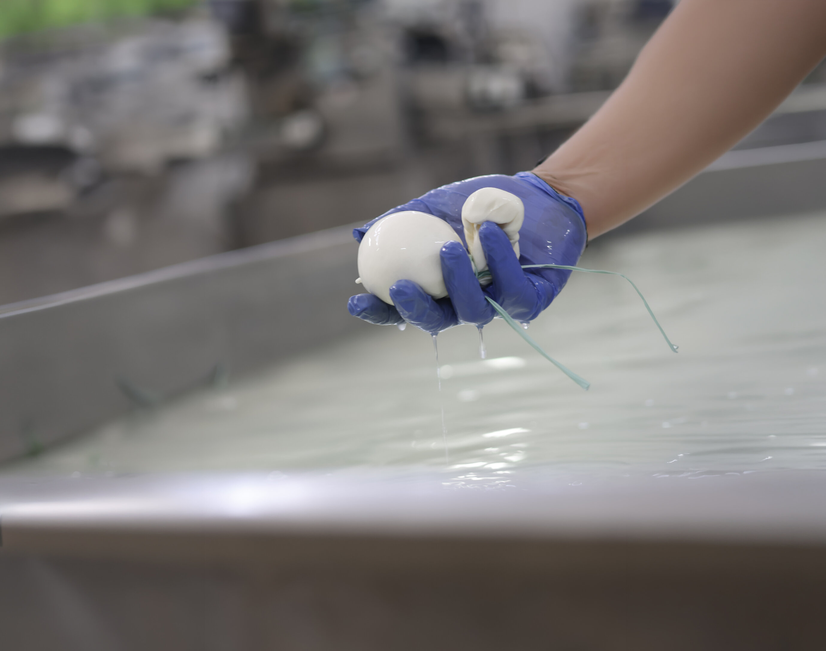 burrata dall'acqua.jpeg