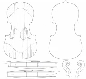 condition report violin.jpeg condition report violin.jpeg