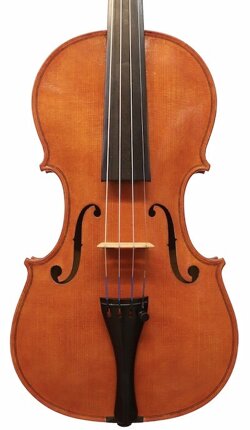 violino-grancio-tavola violino-grancio-tavola