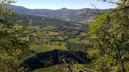 colli piacentini