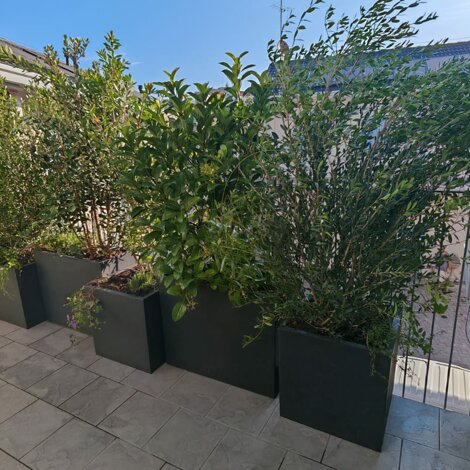 Marotta Fine Gardening - Artigiani del Verde - Progettazione e Realizzazione di Giardini e Terrazzi di Alto Livello per Privati e Aziende - Milano