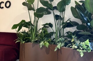 Marotta Fine Gardening - Artigiani del Verde - Portfolio di Progetti per Giardini e Terrazzi di Alto Livello per Privati e Aziende - Milano