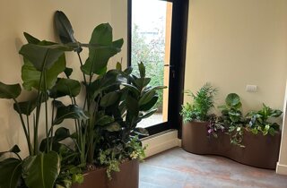 Marotta Fine Gardening - Artigiani del Verde - Portfolio di Progetti per Giardini e Terrazzi di Alto Livello per Privati e Aziende - Milano