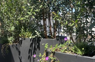 Marotta Fine Gardening - Artigiani del Verde - Portfolio di Progetti per Giardini e Terrazzi di Alto Livello per Privati e Aziende - Milano