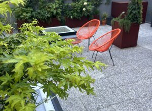 Marotta Fine Gardening - Artigiani del Verde - Galleria d'Immagini - Progettazione e Realizzazione di Giardini e Terrazzi di Alto Livello per Privati e Aziende - Milano
