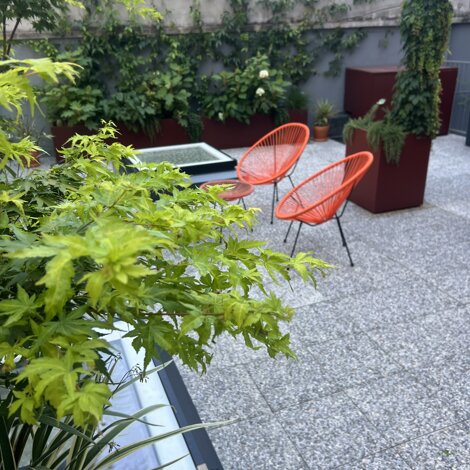 Marotta Fine Gardening - Artigiani del Verde - Progettazione e Realizzazione di Giardini e Terrazzi di Alto Livello per Privati e Aziende - Milano