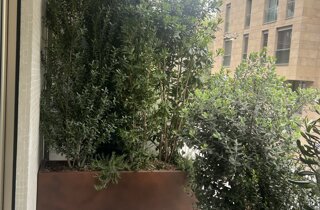 Marotta Fine Gardening - Artigiani del Verde - Portfolio di Progetti per Giardini e Terrazzi di Alto Livello per Privati e Aziende - Milano