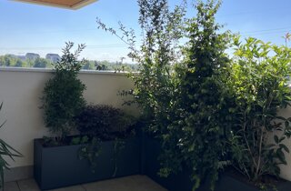Marotta Fine Gardening - Artigiani del Verde - Portfolio di Progetti per Giardini e Terrazzi di Alto Livello per Privati e Aziende - Milano