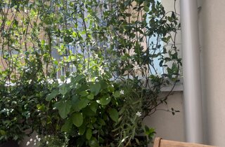 Marotta Fine Gardening - Artigiani del Verde - Portfolio di Progetti per Giardini e Terrazzi di Alto Livello per Privati e Aziende - Milano
