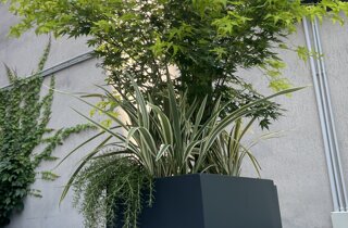 Marotta Fine Gardening - Artigiani del Verde - Portfolio di Progetti per Giardini e Terrazzi di Alto Livello per Privati e Aziende - Milano
