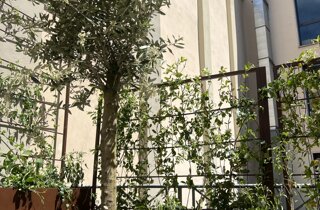 Marotta Fine Gardening - Artigiani del Verde - Portfolio di Progetti per Giardini e Terrazzi di Alto Livello per Privati e Aziende - Milano