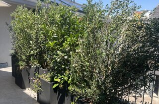 Marotta Fine Gardening - Artigiani del Verde - Portfolio di Progetti per Giardini e Terrazzi di Alto Livello per Privati e Aziende - Milano