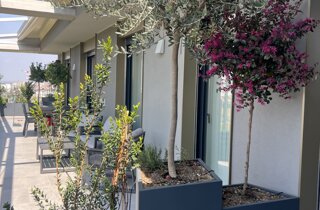 Marotta Fine Gardening - Artigiani del Verde - Portfolio di Progetti per Giardini e Terrazzi di Alto Livello per Privati e Aziende - Milano