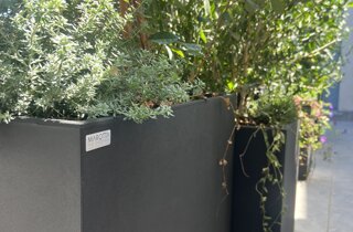 Marotta Fine Gardening - Artigiani del Verde - Portfolio di Progetti per Giardini e Terrazzi di Alto Livello per Privati e Aziende - Milano