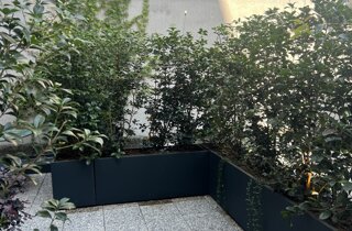 Marotta Fine Gardening - Artigiani del Verde - Portfolio di Progetti per Giardini e Terrazzi di Alto Livello per Privati e Aziende - Milano