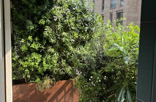 Marotta Fine Gardening - Artigiani del Verde - Portfolio di Progetti per Giardini e Terrazzi di Alto Livello per Privati e Aziende - Milano