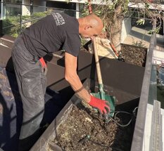 Marotta Fine Gardening - Artigiani del Verde - Progettazione e Realizzazione di Giardini e Terrazzi di Alto Livello per Privati e Aziende - Milano