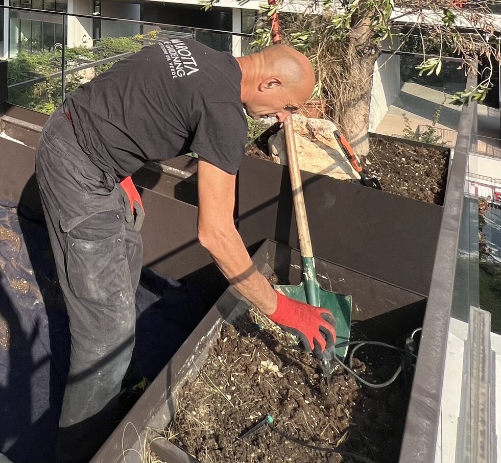 Mostriamo come lavoriamo in Marotta Fine Gardening | Progettazione e realizzazione terrazzi a Milano e provincia