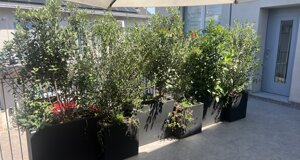 Progettazione terrazzo a Milano residenziale con verde su misura e firotiture | Marotta Fine Gardening