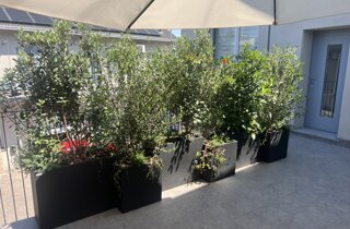 Marotta Fine Gardening - Artigiani del Verde - Portfolio di Progetti per Giardini e Terrazzi di Alto Livello per Privati e Aziende - Milano
