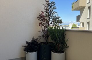 Marotta Fine Gardening - Artigiani del Verde - Portfolio di Progetti per Giardini e Terrazzi di Alto Livello per Privati e Aziende - Milano