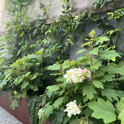 Marotta Fine Gardening - Artigiani del Verde - Progettazione e Realizzazione di Giardini e Terrazzi di Alto Livello per Privati e Aziende - Milano