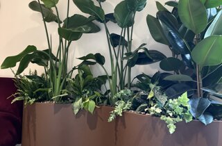 Marotta Fine Gardening - Artigiani del Verde - Portfolio di Progetti per Giardini e Terrazzi di Alto Livello per Privati e Aziende - Milano