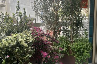 Marotta Fine Gardening - Artigiani del Verde - Portfolio di Progetti per Giardini e Terrazzi di Alto Livello per Privati e Aziende - Milano