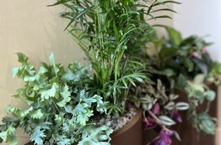 Marotta Fine Gardening - Artigiani del Verde - Portfolio di Progetti per Giardini e Terrazzi di Alto Livello per Privati e Aziende - Milano