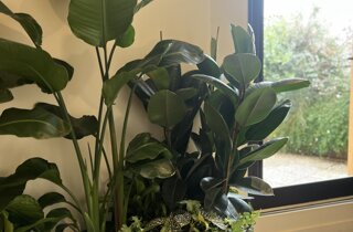Marotta Fine Gardening - Artigiani del Verde - Portfolio di Progetti per Giardini e Terrazzi di Alto Livello per Privati e Aziende - Milano