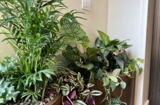 Marotta Fine Gardening - Artigiani del Verde - Portfolio di Progetti per Giardini e Terrazzi di Alto Livello per Privati e Aziende - Milano