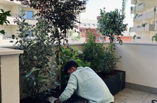 Marotta Fine Gardening - Artigiani del Verde - Portfolio di Progetti per Giardini e Terrazzi di Alto Livello per Privati e Aziende - Milano