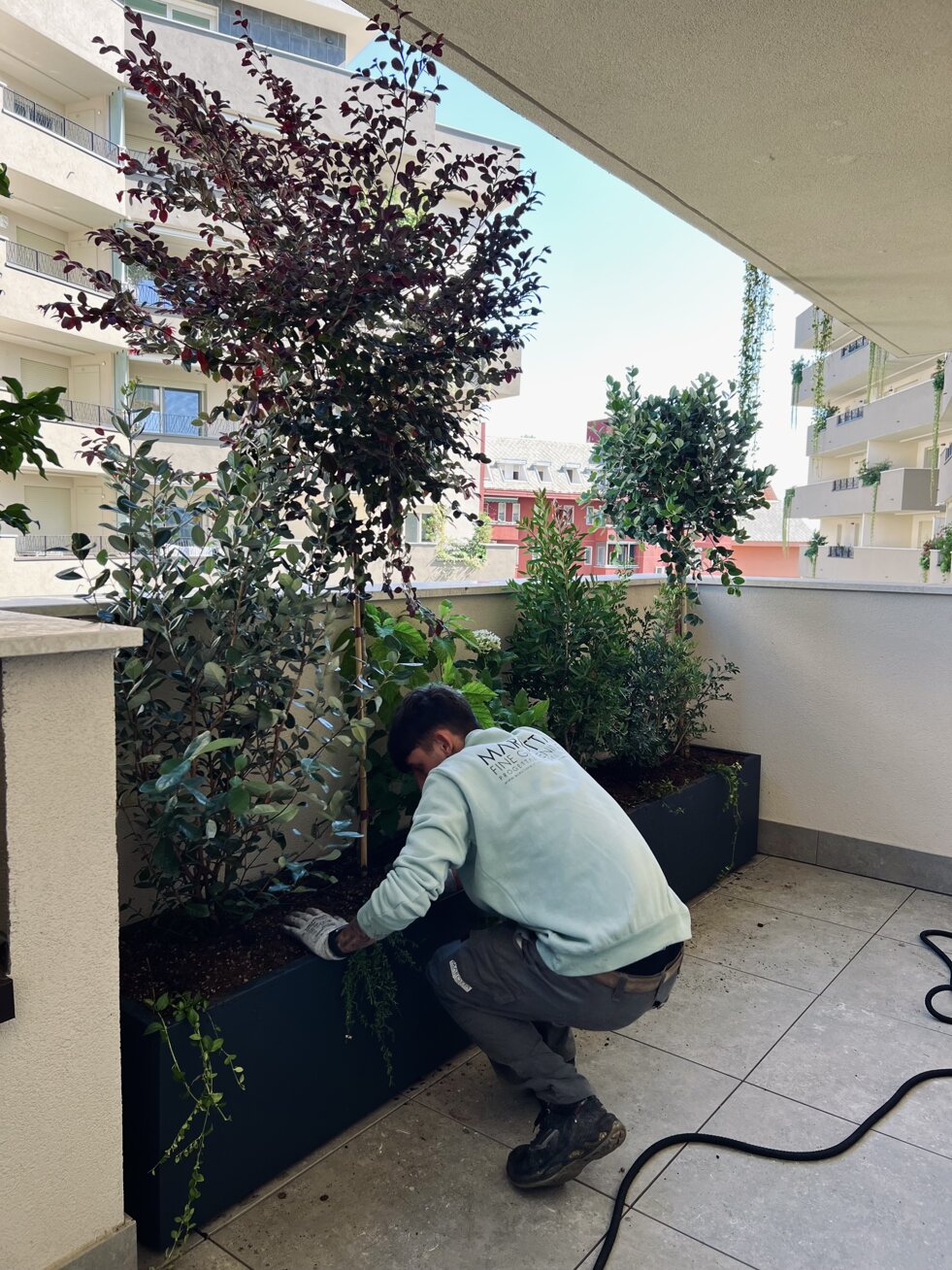 Mostriamo come lavoriamo in Marotta Fine Gardening | Progettazione e realizzazione terrazzi a Milano e provincia