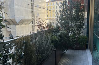 Marotta Fine Gardening - Artigiani del Verde - Portfolio di Progetti per Giardini e Terrazzi di Alto Livello per Privati e Aziende - Milano