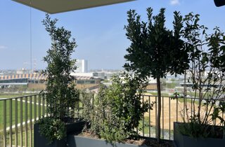 Marotta Fine Gardening - Artigiani del Verde - Portfolio di Progetti per Giardini e Terrazzi di Alto Livello per Privati e Aziende - Milano