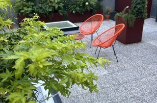 Marotta Fine Gardening - Artigiani del Verde - Portfolio di Progetti per Giardini e Terrazzi di Alto Livello per Privati e Aziende - Milano
