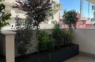 Marotta Fine Gardening - Artigiani del Verde - Portfolio di Progetti per Giardini e Terrazzi di Alto Livello per Privati e Aziende - Milano