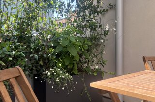 Marotta Fine Gardening - Artigiani del Verde - Portfolio di Progetti per Giardini e Terrazzi di Alto Livello per Privati e Aziende - Milano