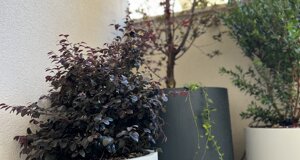 I nostri adesivi sui vasi prodotti in alluminio su misura brandizzati | Marotta Fine Gardening
