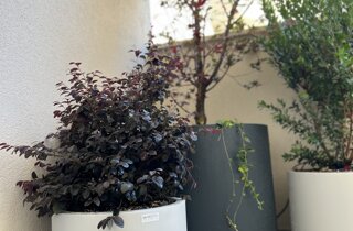 Marotta Fine Gardening - Artigiani del Verde - Portfolio di Progetti per Giardini e Terrazzi di Alto Livello per Privati e Aziende - Milano