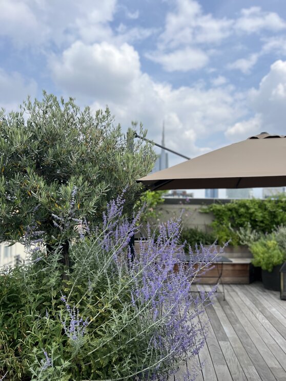 Progettazione terrazzi a Milano per attico residenziale al decimo piano con verde su misura | Marotta Fine Gardening