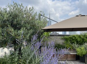 Marotta Fine Gardening - Artigiani del Verde - Galleria d'Immagini - Progettazione e Realizzazione di Giardini e Terrazzi di Alto Livello per Privati e Aziende - Milano