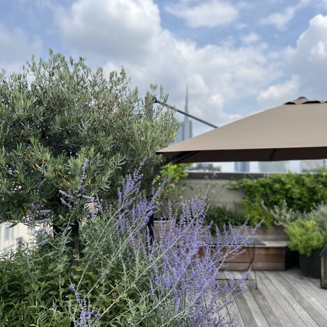 Marotta Fine Gardening - Artigiani del Verde - Progettazione e Realizzazione di Giardini e Terrazzi di Alto Livello per Privati e Aziende - Milano