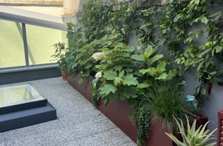 Marotta Fine Gardening - Artigiani del Verde - Portfolio di Progetti per Giardini e Terrazzi di Alto Livello per Privati e Aziende - Milano