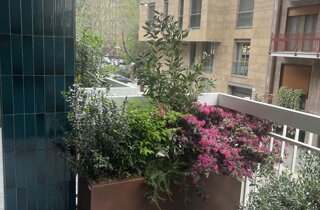 Marotta Fine Gardening - Artigiani del Verde - Portfolio di Progetti per Giardini e Terrazzi di Alto Livello per Privati e Aziende - Milano