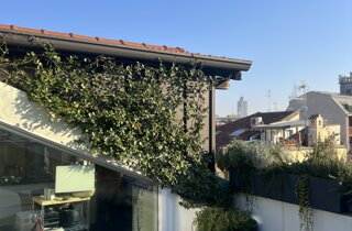 Marotta Fine Gardening - Artigiani del Verde - Portfolio di Progetti per Giardini e Terrazzi di Alto Livello per Privati e Aziende - Milano