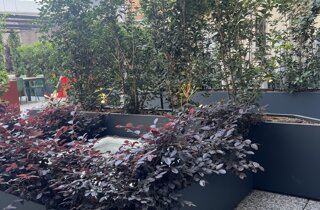 Marotta Fine Gardening - Artigiani del Verde - Portfolio di Progetti per Giardini e Terrazzi di Alto Livello per Privati e Aziende - Milano