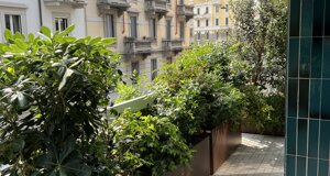Marotta Fine Gardening | Progettazione e realizzazione terrazzi a Milano e provincia